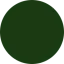 Seed