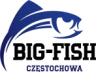 Big Fish PL logo
